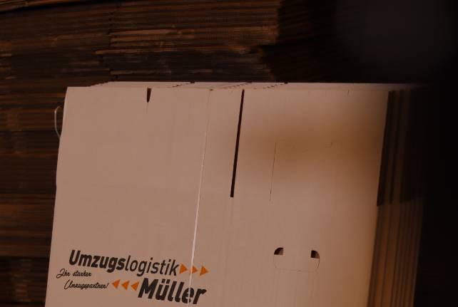 Günstiger Behördenumzug Brandis