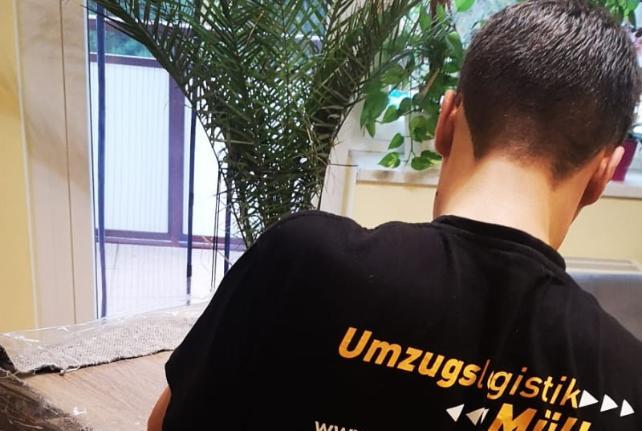 Preise für Ihren Studentenumzug in Brandis